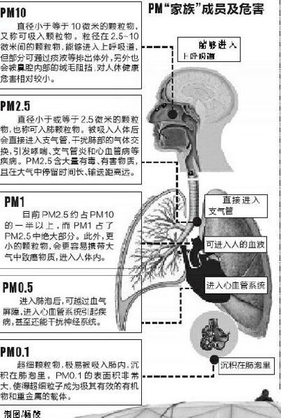 pm�����塱��ա��σ��